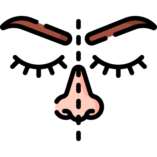 symetryczna twarz Special Lineal color ikona