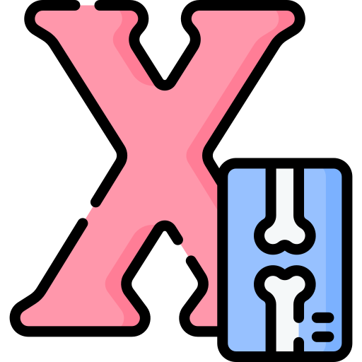 文字x Special Lineal color icon