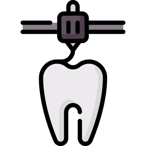 이빨 Special Lineal color icon