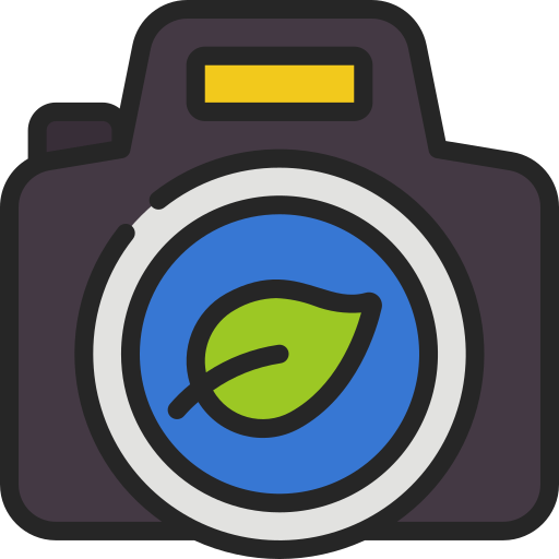 Photography Juicy Fish Soft-fill icon