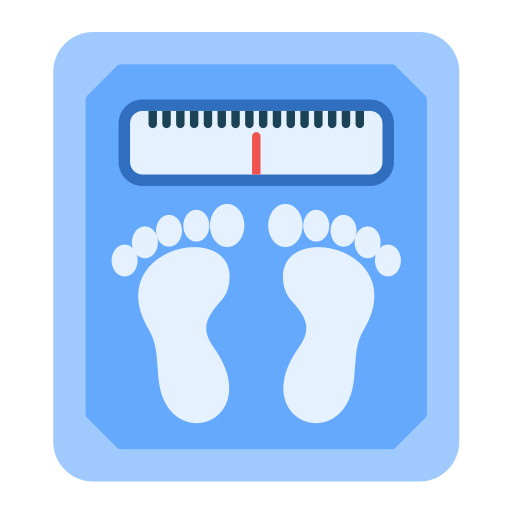 Weight Scale Generic color fill icon