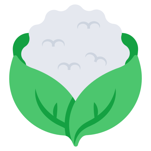 Cauliflower Generic color fill icon