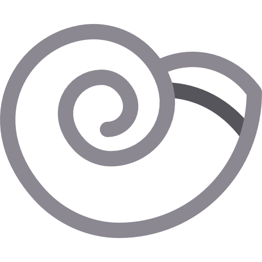 strandschnecke Basic Rounded Lineal Color icon