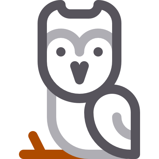Owl Basic Rounded Lineal Color icon
