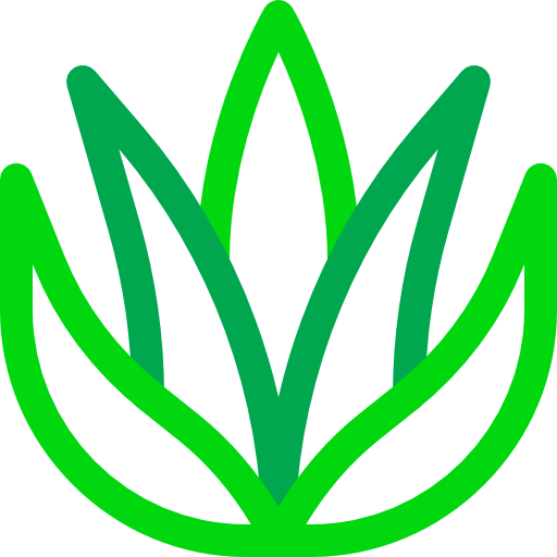 aloe vera Basic Rounded Lineal Color icon