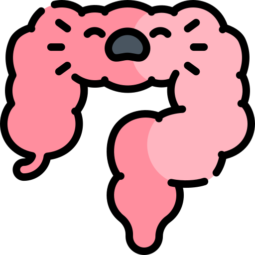 intestino Kawaii Lineal color icona