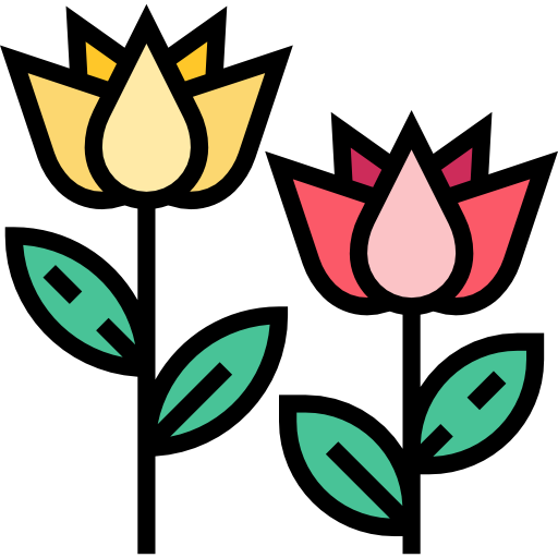 tulpe Meticulous Lineal Color icon