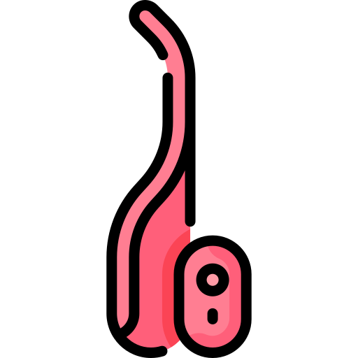 Vibrator Special Lineal color icon
