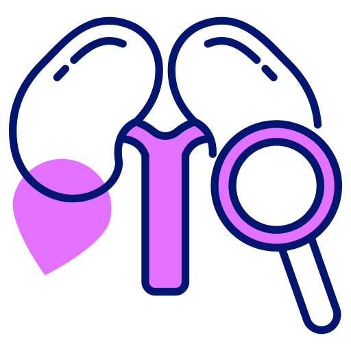 Kidneys Generic color lineal-color icon