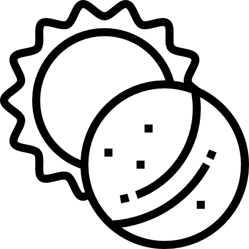 日食 Meticulous Line icon