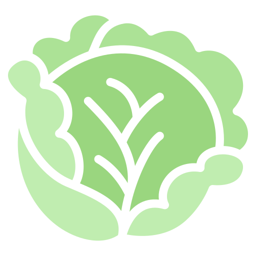 Cabbage  Generic color fill icon