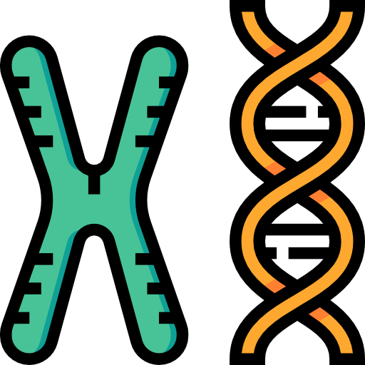 染色体 Meticulous Lineal Color icon