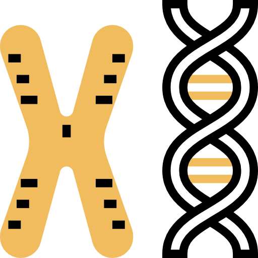 chromosoom Meticulous Yellow shadow icoon