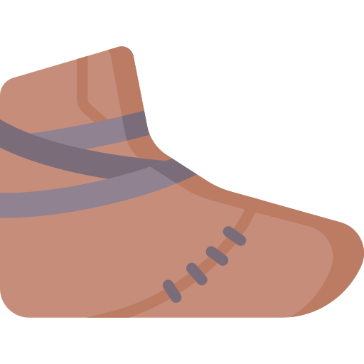 schoenen Special Flat icoon