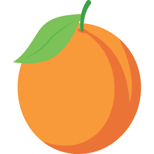 abricot Generic color fill Icône