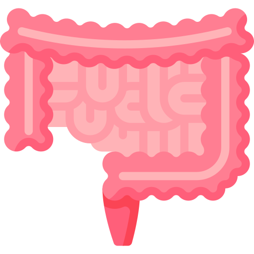 Intestine Special Flat icon