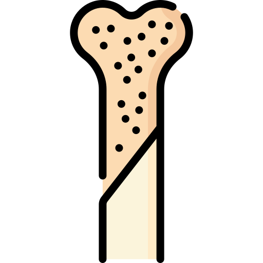 Bone Special Lineal color icon