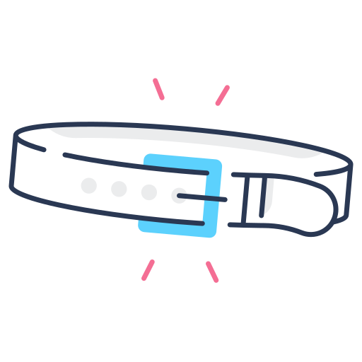 Belt Generic color fill icon