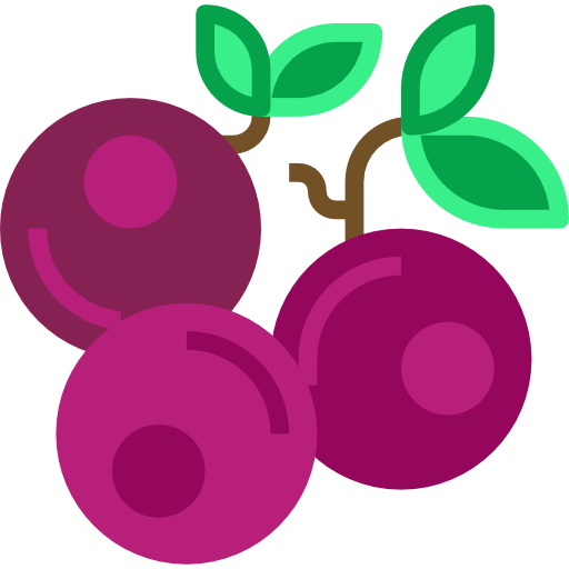 Blueberries Surang Flat icon