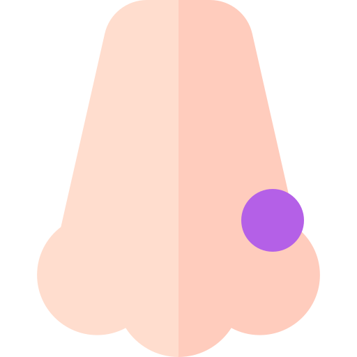nariz Basic Straight Flat icono
