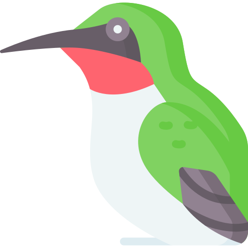 kolibri Special Flat icon