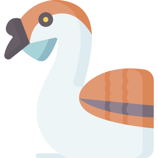 African goose Special Flat icon