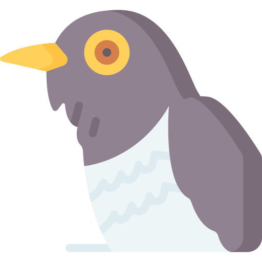 Cuckoo Special Flat icon