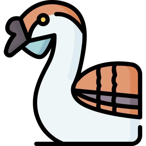 afrikanische gans Special Lineal color icon