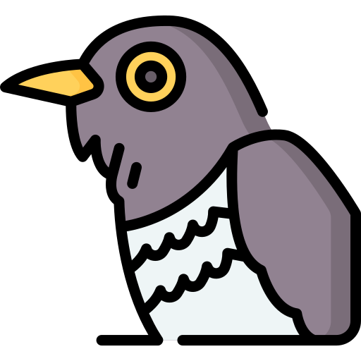 Cuckoo Special Lineal color icon