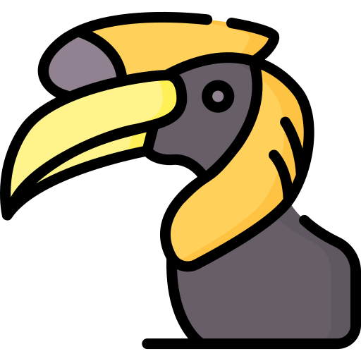 Hornbill Special Lineal color icon