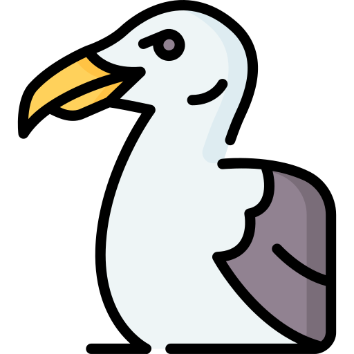 Seagull Special Lineal color icon