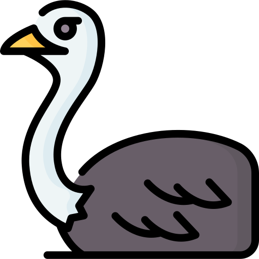 Ostrich Special Lineal color icon