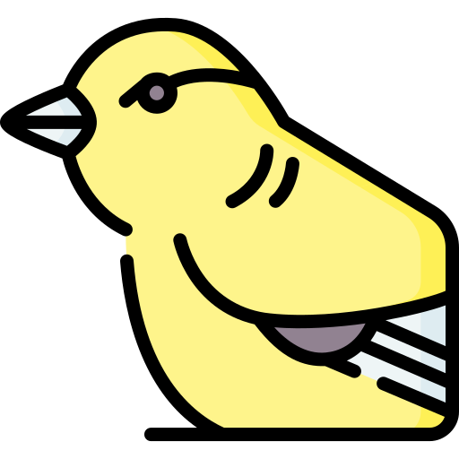 kanarienvogel Special Lineal color icon