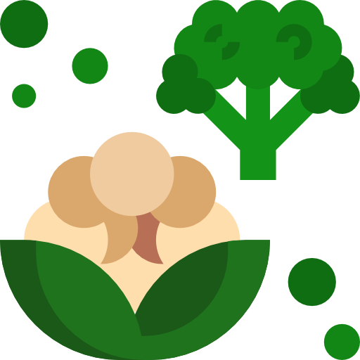 Cauliflower Surang Flat icon