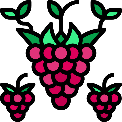 framboise Surang Lineal Color Icône