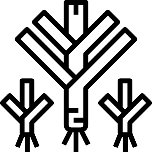 부추 Surang Lineal icon