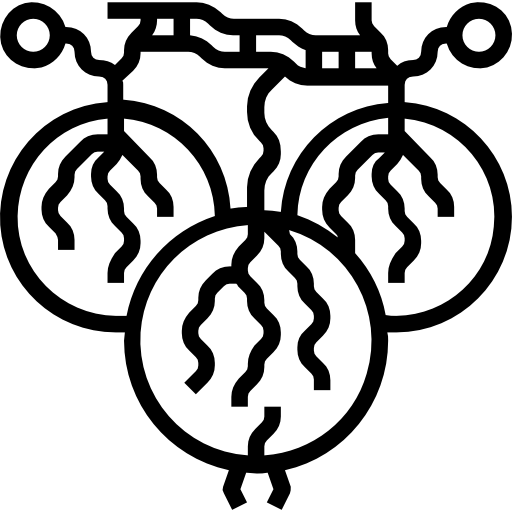 Gooseberry Surang Lineal icon