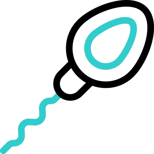 spermatozoïde Basic Accent Outline Icône