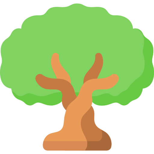 Оливковое дерево Special Flat иконка