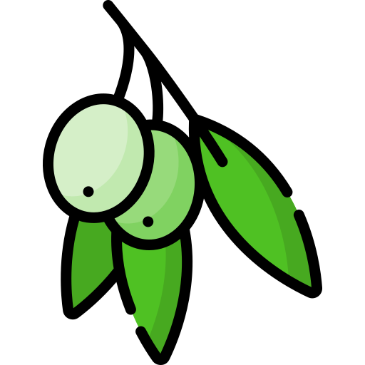 olive Special Lineal color icon
