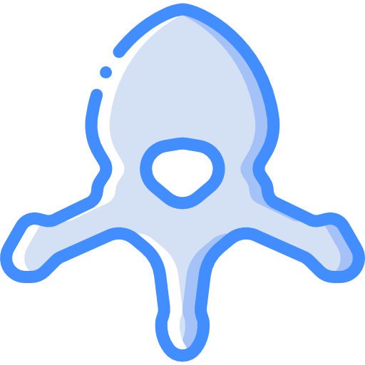 vértebra Basic Miscellany Blue icono