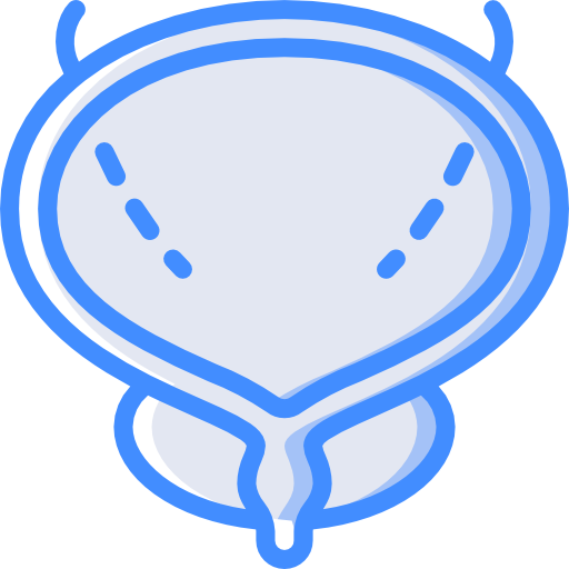 膀胱 Basic Miscellany Blue icon