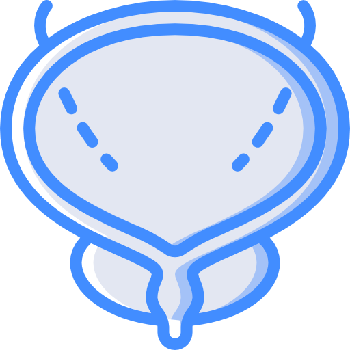 Bladder Basic Miscellany Blue icon