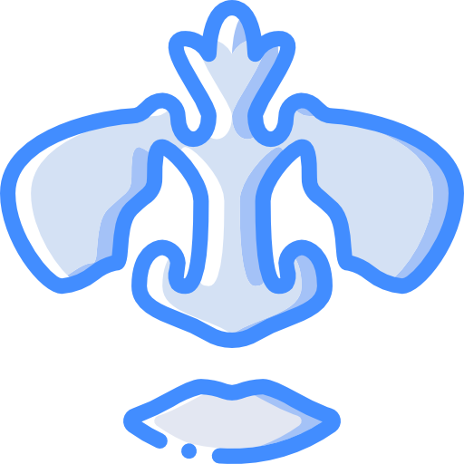 nariz Basic Miscellany Blue icono