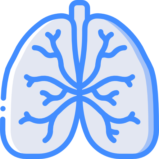 polmoni Basic Miscellany Blue icona
