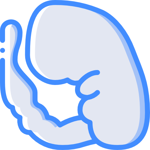 embrión Basic Miscellany Blue icono
