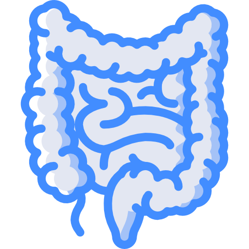 intestinos Basic Miscellany Blue icono