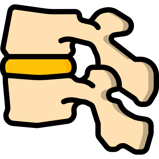 Vertebra Basic Miscellany Lineal Color icon