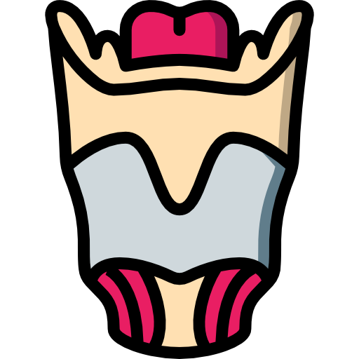 Larynx Basic Miscellany Lineal Color icon