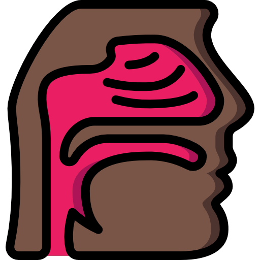 nasal Basic Miscellany Lineal Color icon